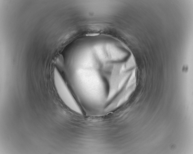 X0000090481394200708102146