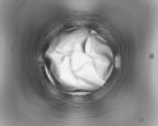 X0000090481395200708102146