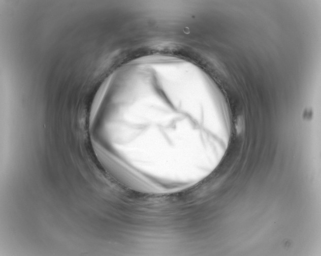 X0000090481396200708102146