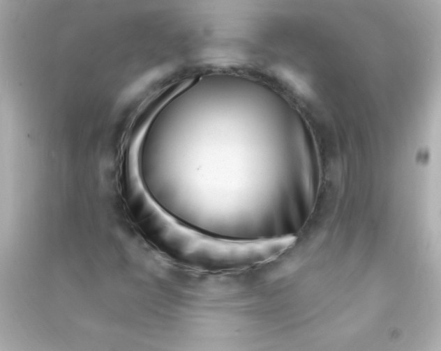 X0000090481398200708102146