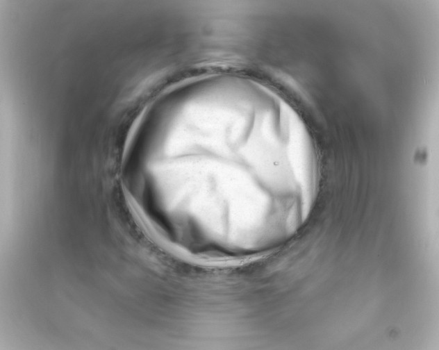 X0000090481399200708102146