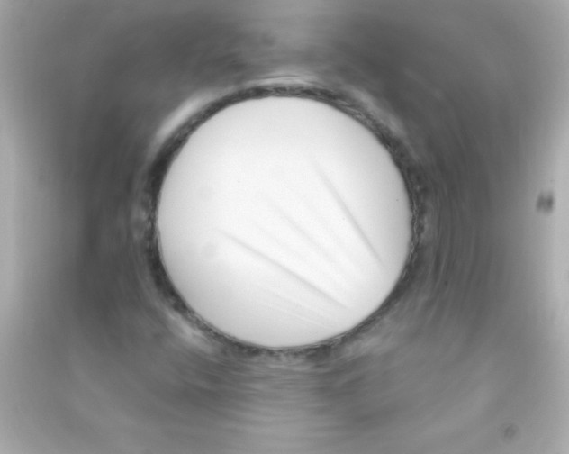 X0000090481400200708102146