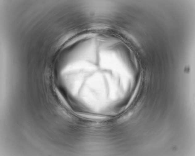 X0000090481401200708102146