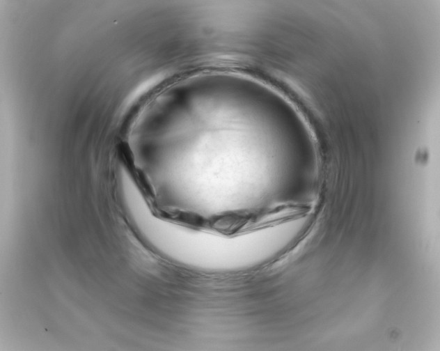 X0000090481402200708102146