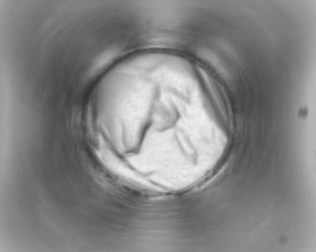 X0000090481403200708102146