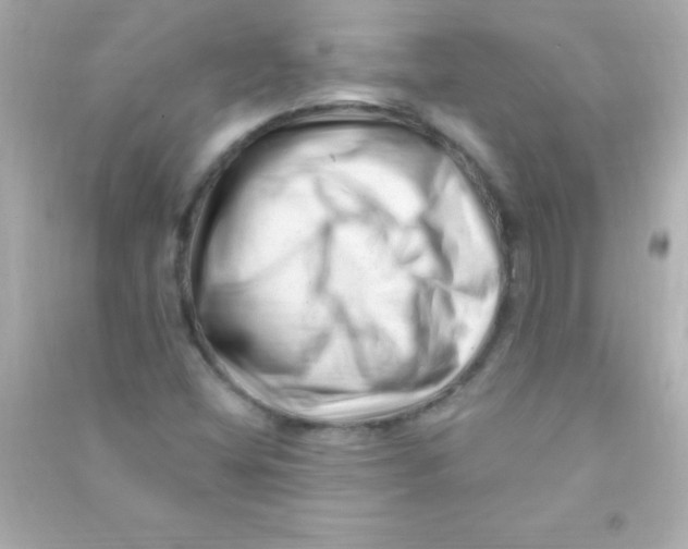 X0000090481404200708102146