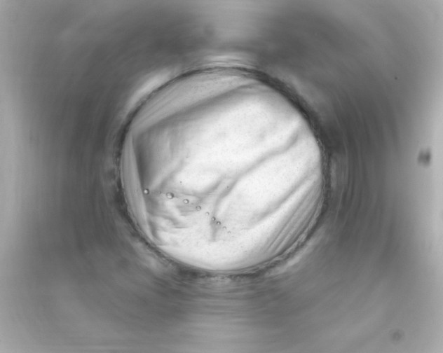 X0000090481405200708102146
