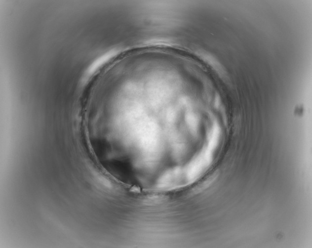 X0000090481406200708102146