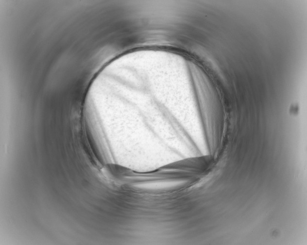 X0000090481409200708102146