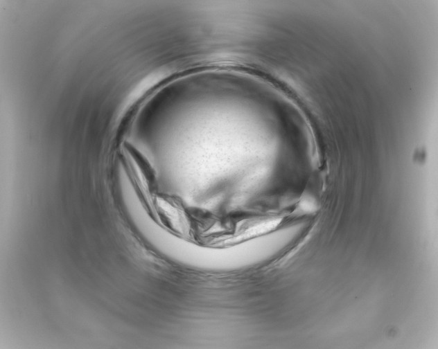 X0000090481410200708102146
