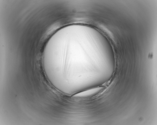 X0000090481411200708102146