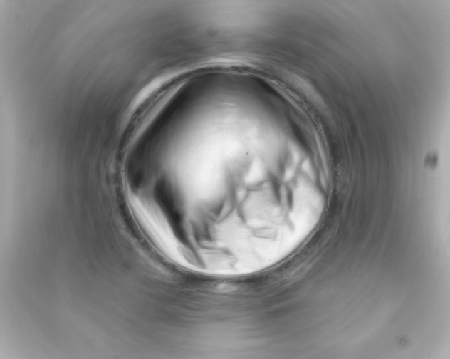 X0000090481412200708102146