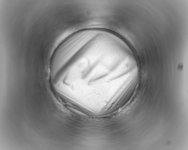 X0000090481413200708102146
