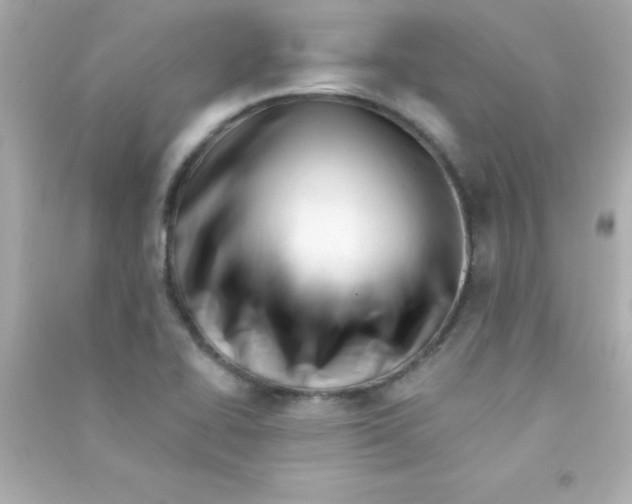 X0000090481414200708102146