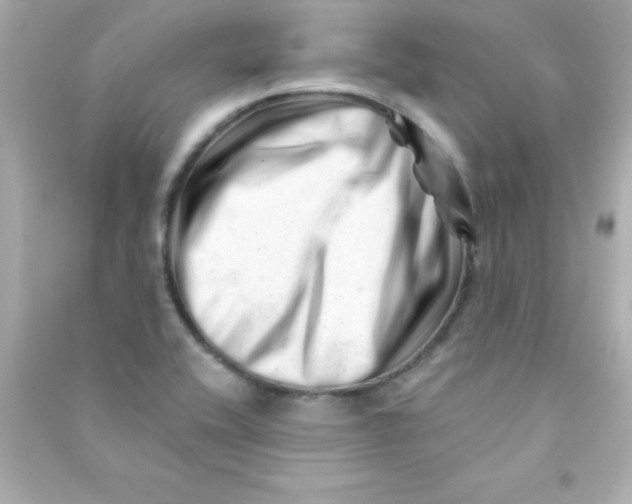 X0000090481416200708102146