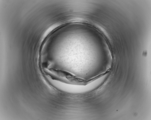 X0000090481418200708102146