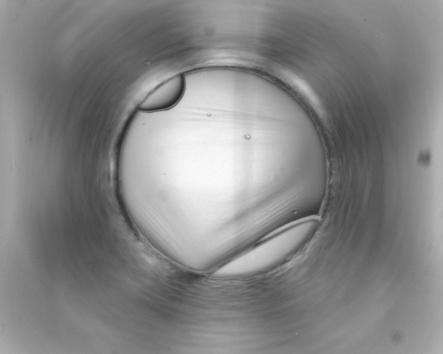 X0000090481419200708102146