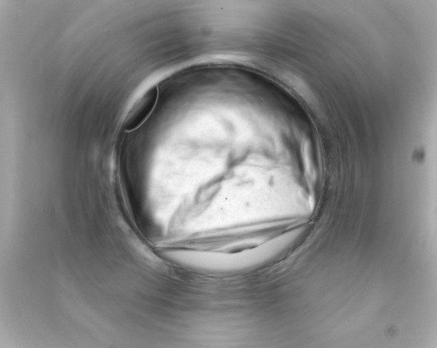 X0000090481420200708102146
