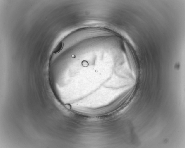 X0000090481421200708102146