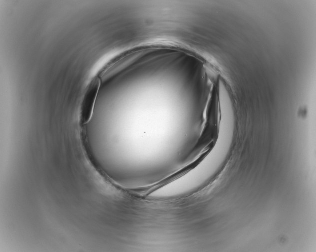 X0000090481422200708102146