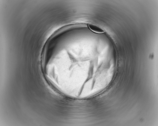X0000090481423200708102146