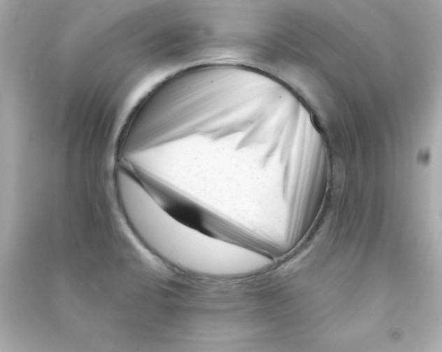 X0000090481424200708102146