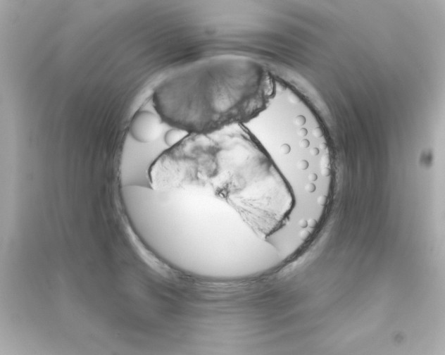 X0000090481425200708102146