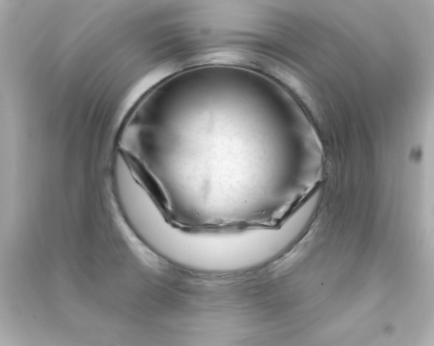 X0000090481426200708102146