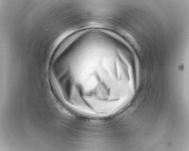 X0000090481427200708102146