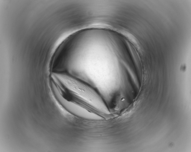 X0000090481430200708102146