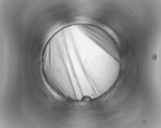 X0000090481431200708102146