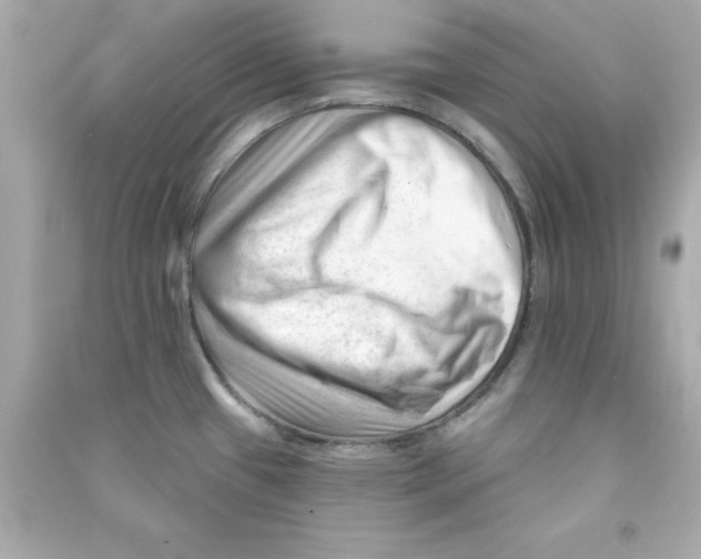 X0000090481433200708102146