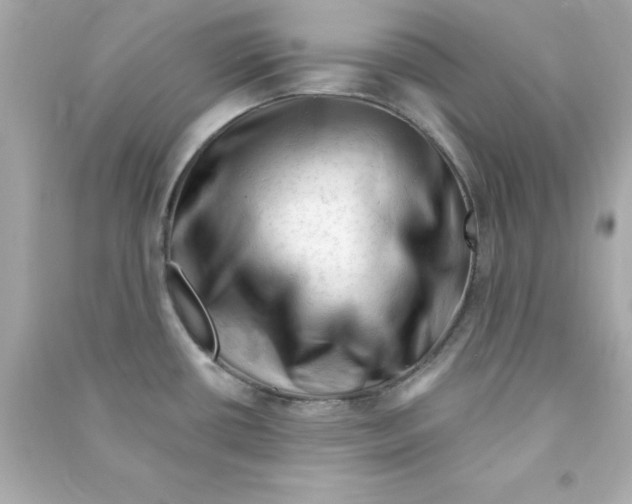 X0000090481434200708102146
