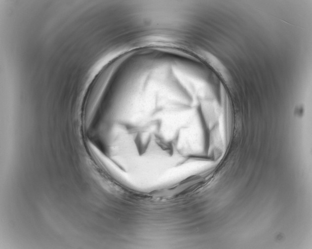 X0000090481435200708102146