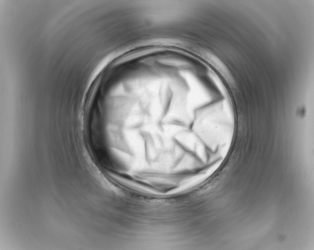 X0000090481436200708102146