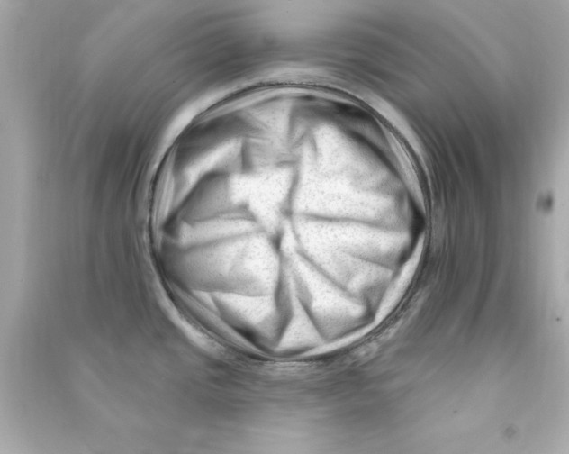X0000090481437200708102146