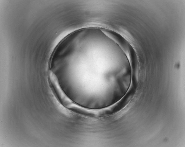 X0000090481438200708102146
