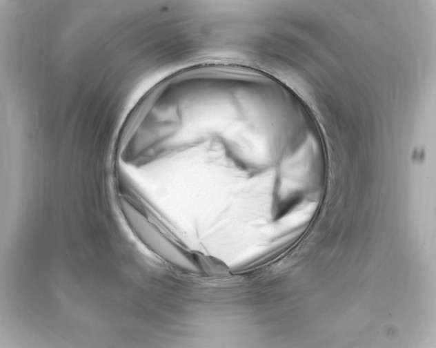 X0000090481440200708102146