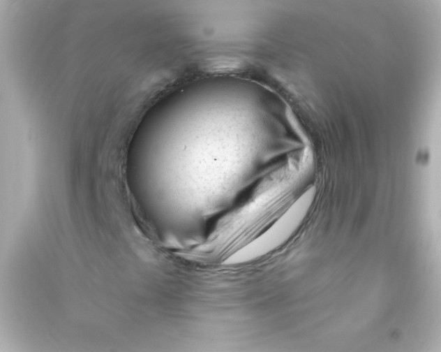 X0000090481441200708102146
