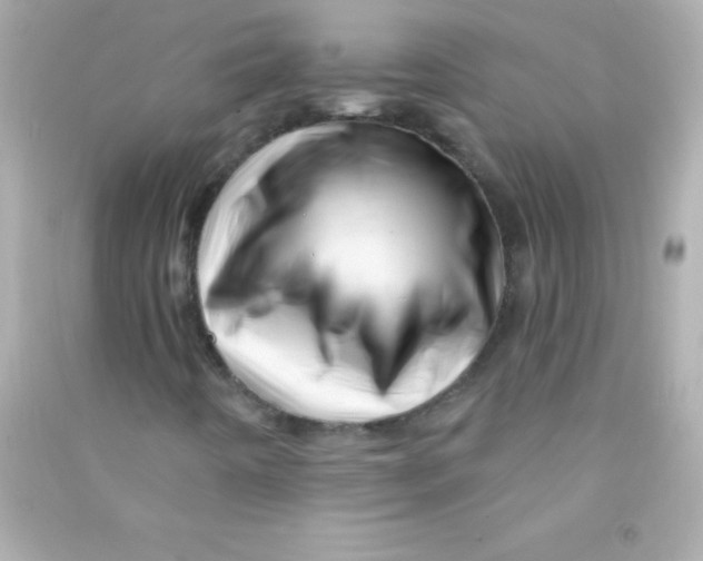 X0000090481442200708102146