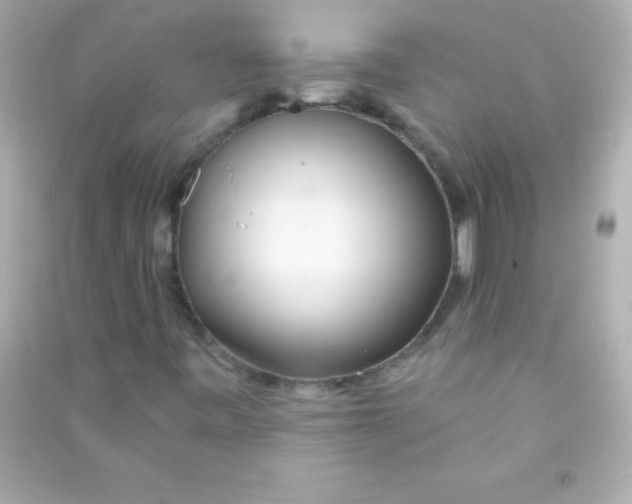 X0000090481443200708102146