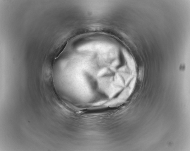 X0000090481444200708102146