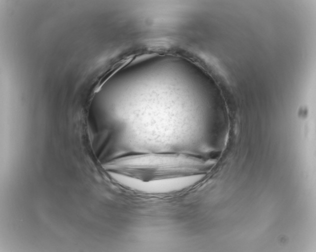 X0000090481445200708102145