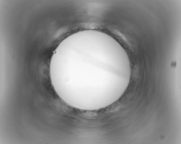 X0000090481446200708102145