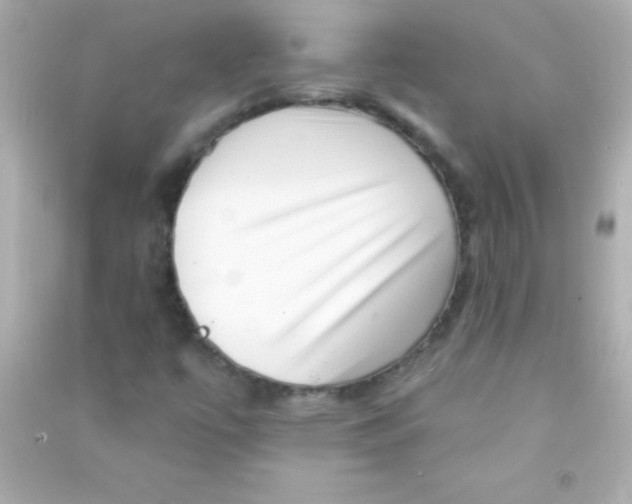 X0000090481447200708102145