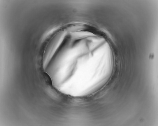 X0000090481448200708102145