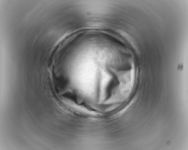 X0000090481449200708102145