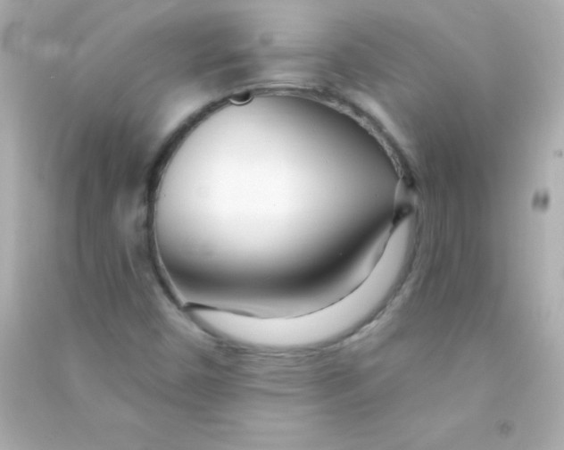 X0000090481450200708102145