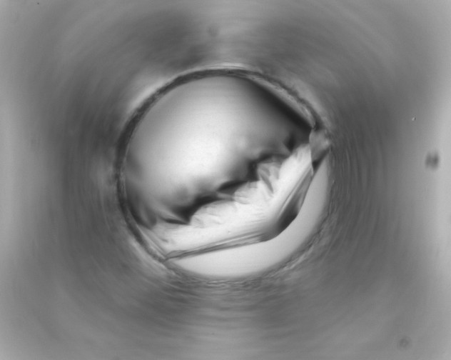 X0000090481452200708102145