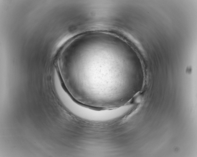 X0000090481453200708102145